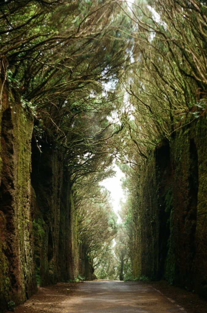 Anaga Tenerife