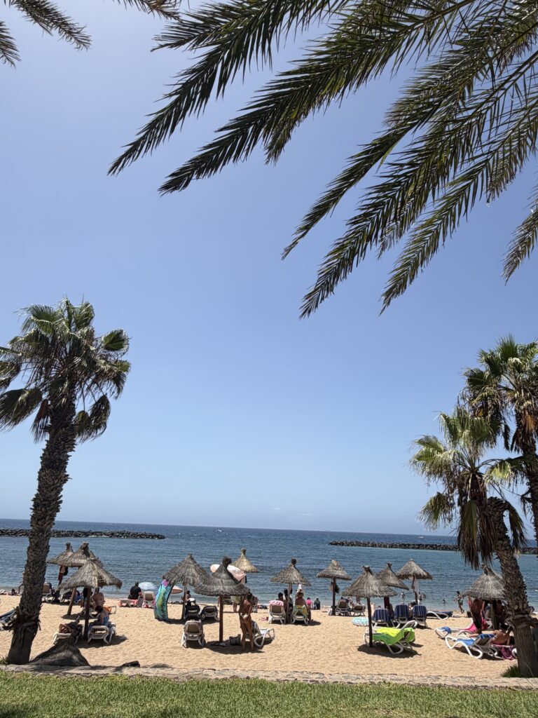 Playa del Camisón Tenerifer